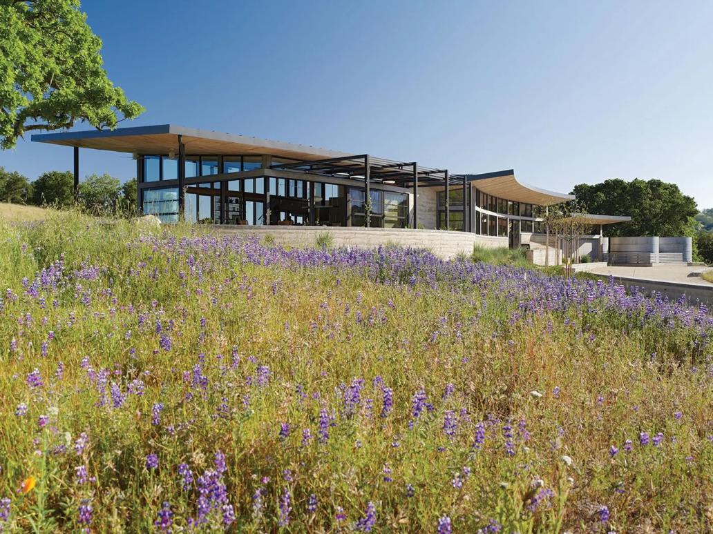 A California ranch home surrounded by lavender